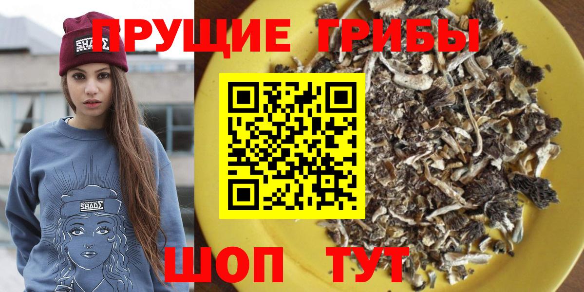 Псилоцибиновые грибы GOLDEN TEACHER  Галлюциногенные грибы MAGIC MUSHROOMS  Вход с VPN  Надым 