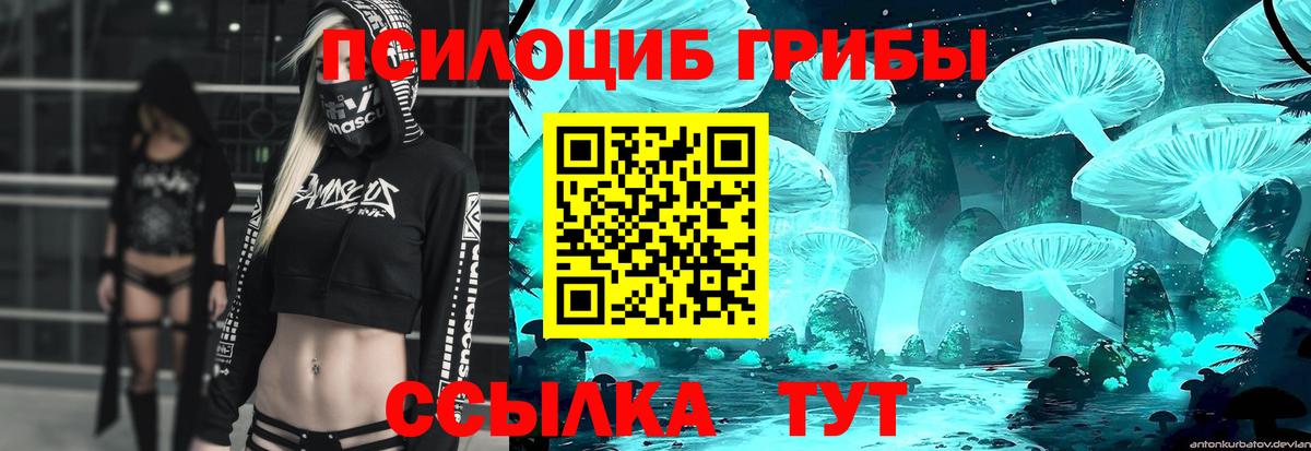 Галлюциногенные грибы прущие грибы Надым